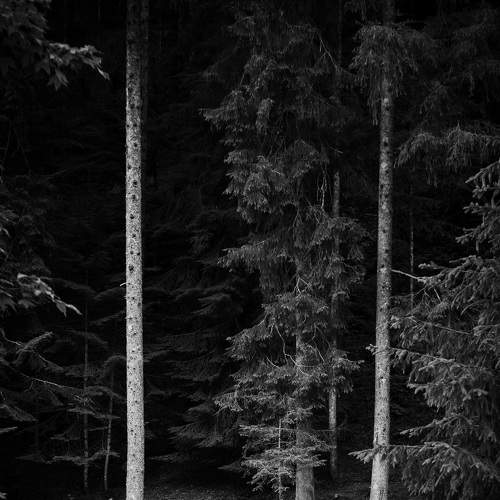 Vertical drama