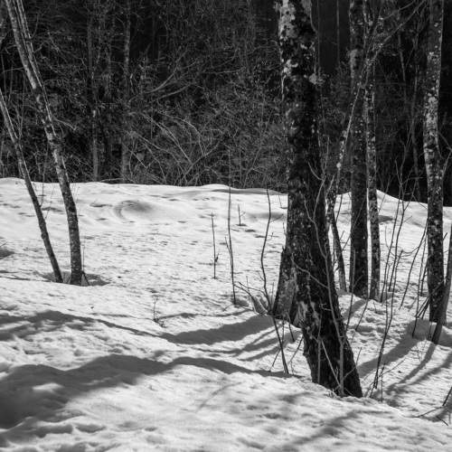 Photo #5917618