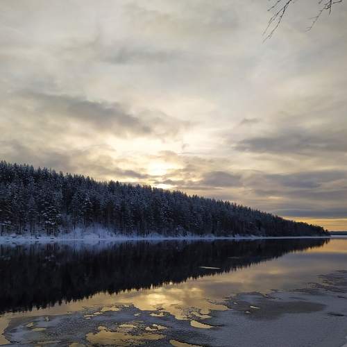 Photo #5917786