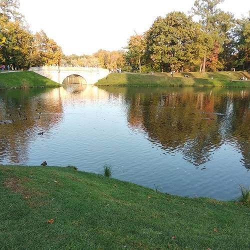 Photo #5918084