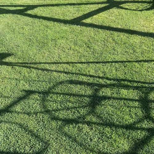 Photo #5918195