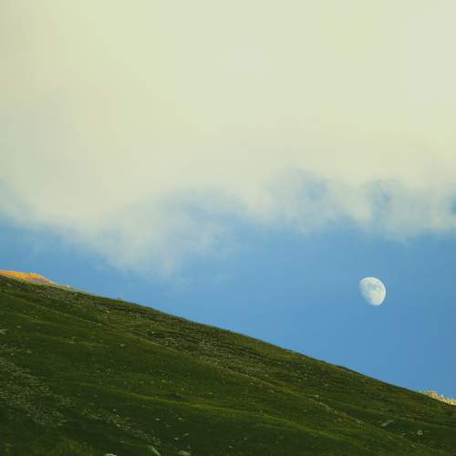 Photo #5919014