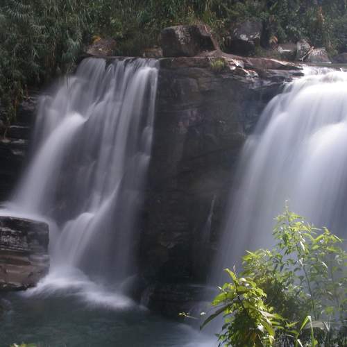 Photo #5919033