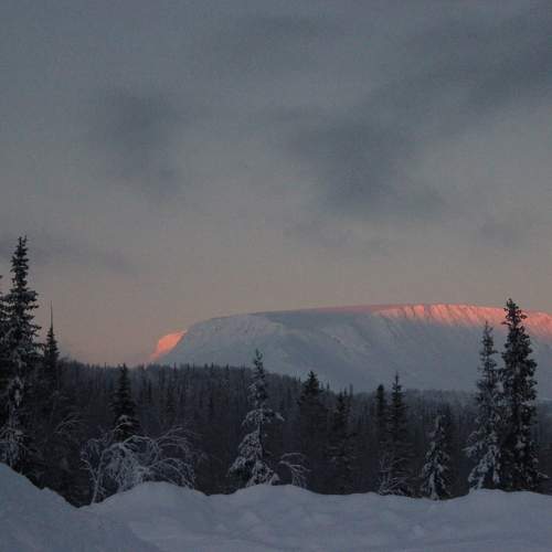Photo #5919118