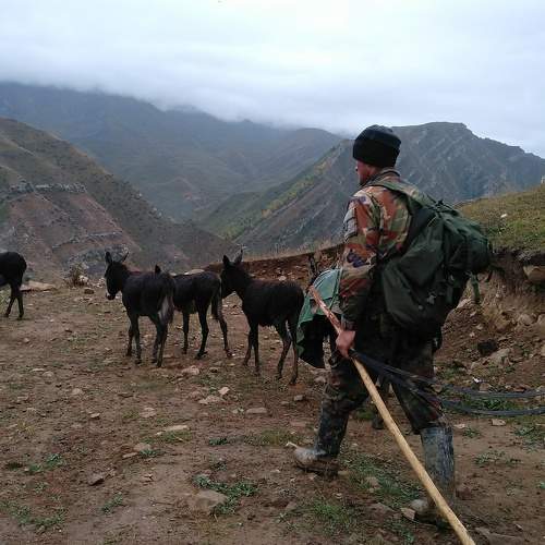 Photo #5919331