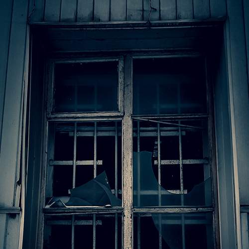 Photo #5919592
