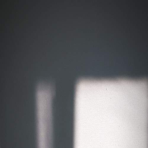 Photo #5919614