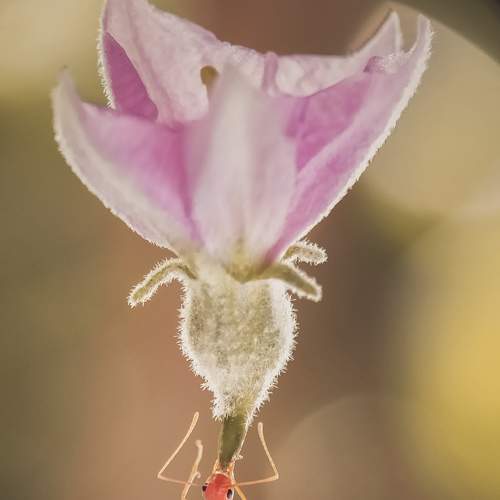 Photo #5919781