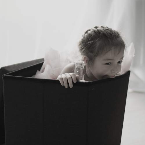 Photo #5919801