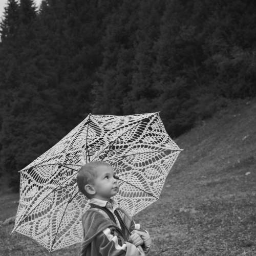 Photo #5919816