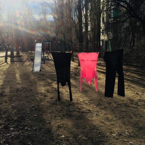 Photo #5919912