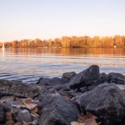 Photo #5920426