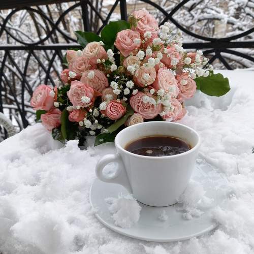 Good morning