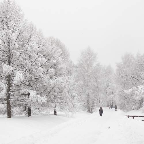 Photo #5920725