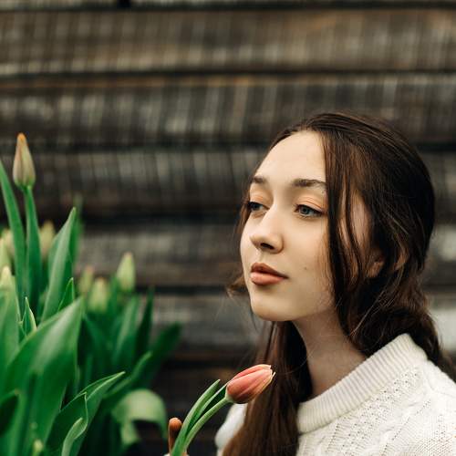 Тюльпановое настроение