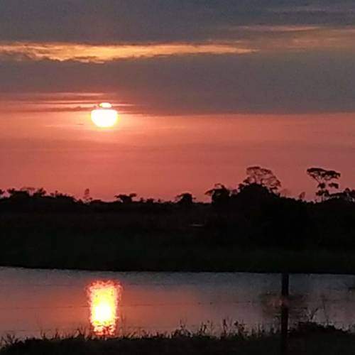 Photo #5921419