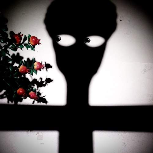 Photo #5921697