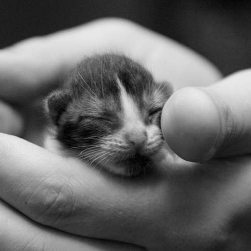 Photo #5921818