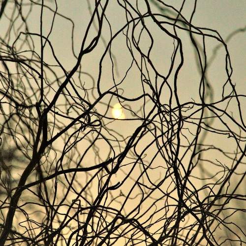 Photo #5921831