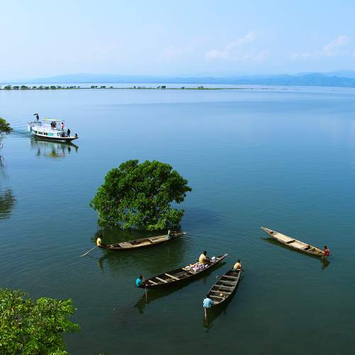Photo #5921868