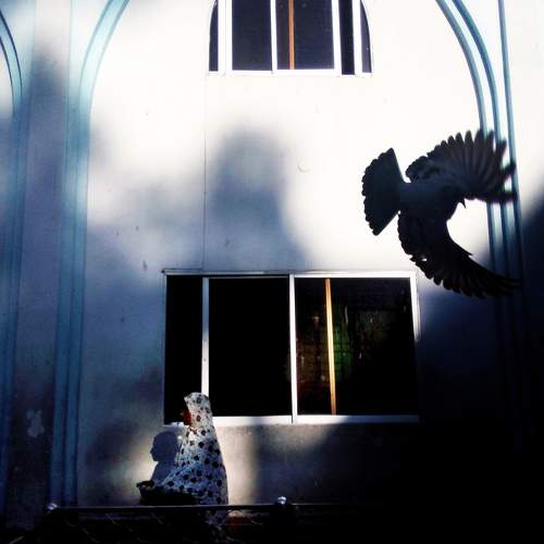 Photo #5921899