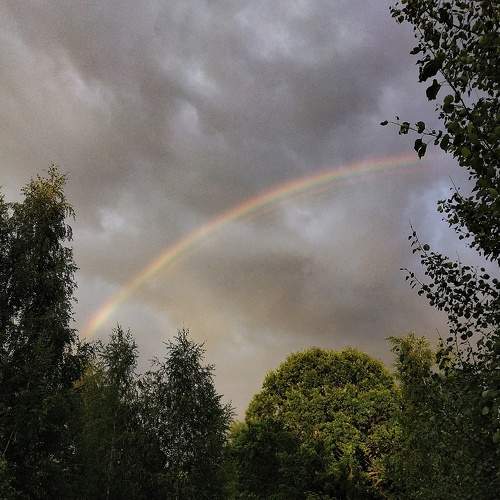Photo #5921909
