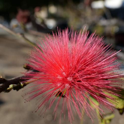Photo #5922064