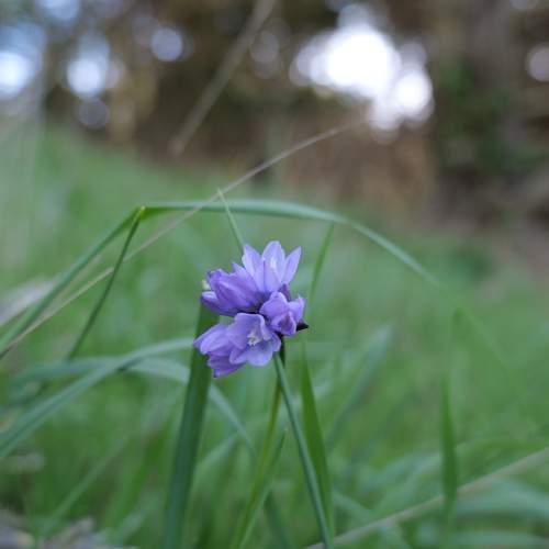 Photo #5922066