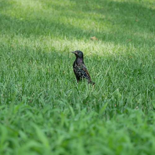 Photo #5922069