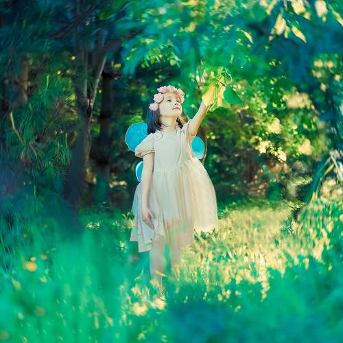 Photo #5922095
