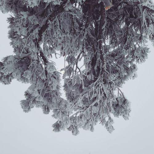 Photo #5922182