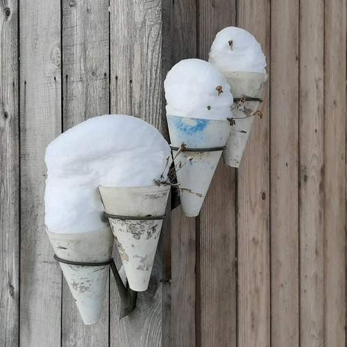 Photo #5922201
