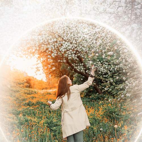 Photo #5922389