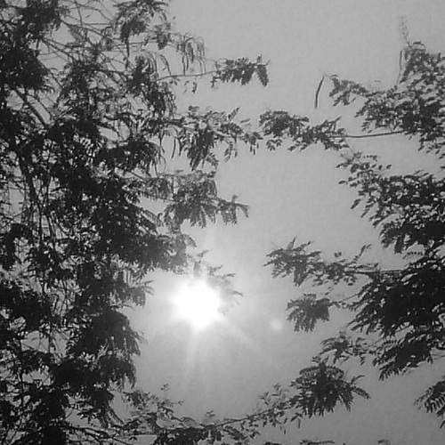 Photo #5922458