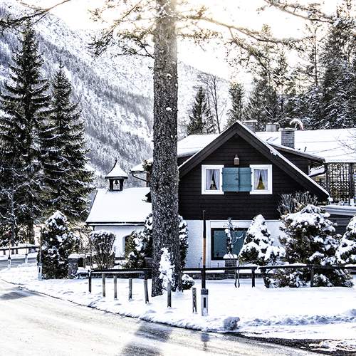 Photo #5922539