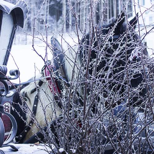 Photo #5922556