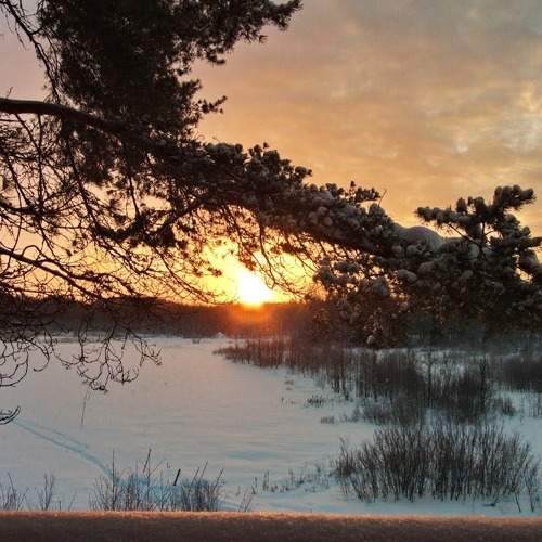 Photo #5922644
