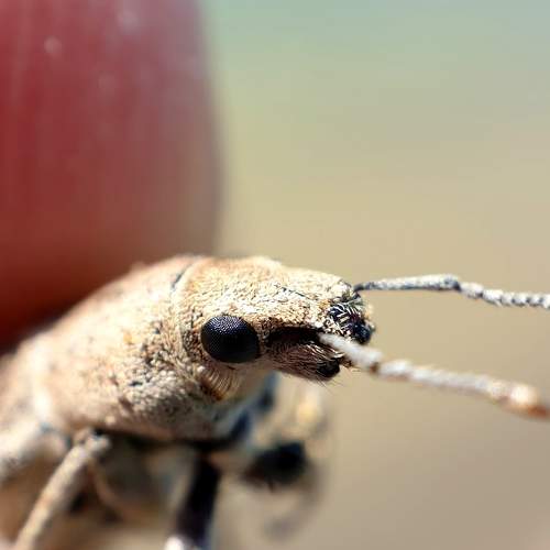 Photo #5922714