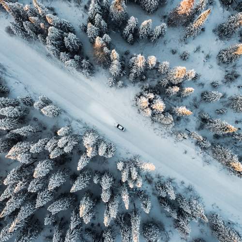 Photo #5922800