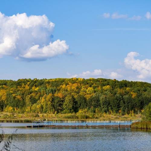 Photo #5923122