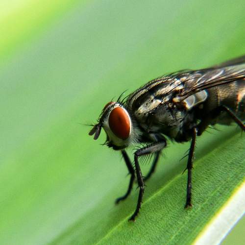 Photo #5923128