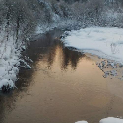Photo #5923249