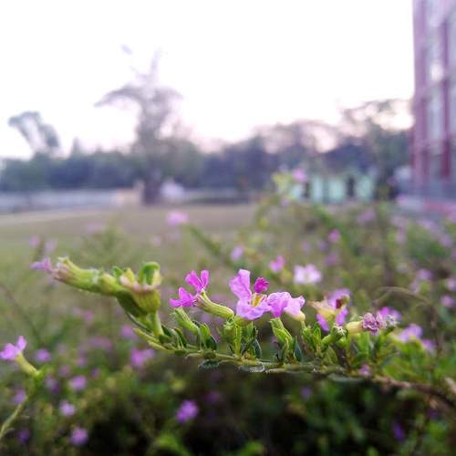 Photo #5923254