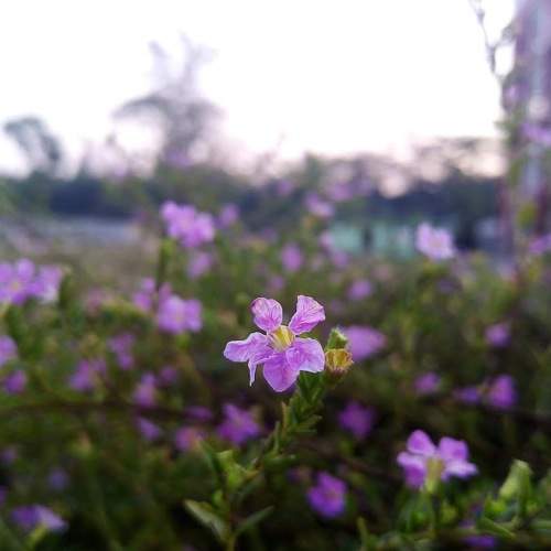 Photo #5923255
