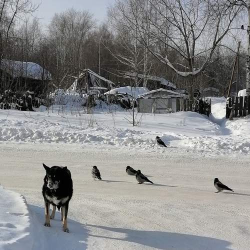Photo #5923311