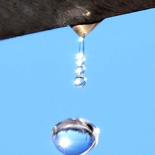 Photo #5923376