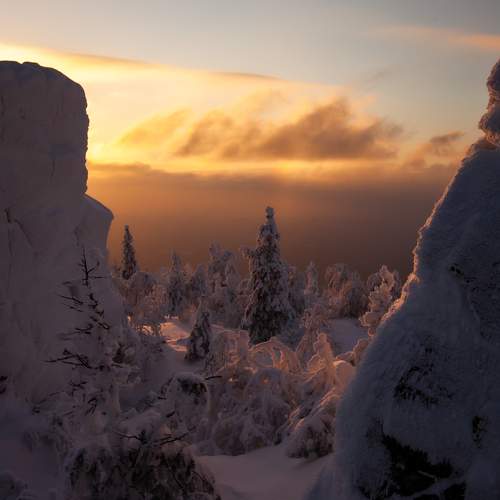 Photo #5923395