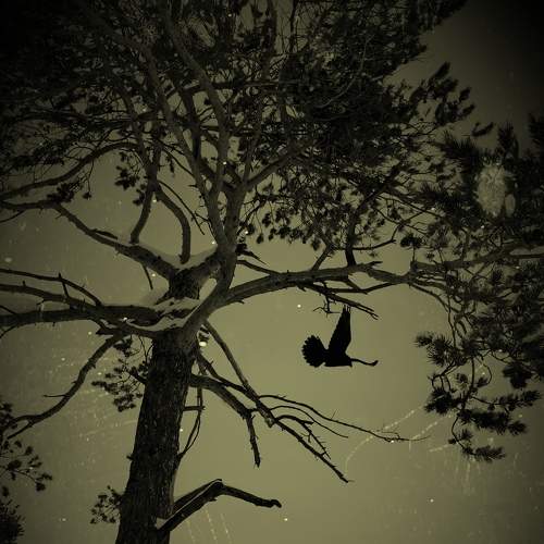 Photo #5923422