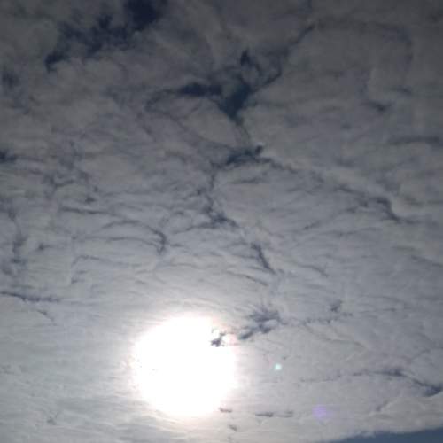 Photo #5923618
