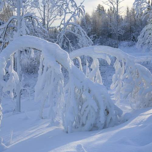 Photo #5923641